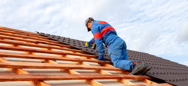 Best Roof Coating and Sealing  in Swepsonville, NC
